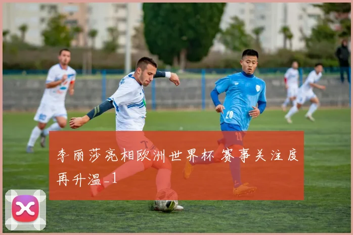李丽莎亮相欧洲世界杯 赛事关注度再升温_1